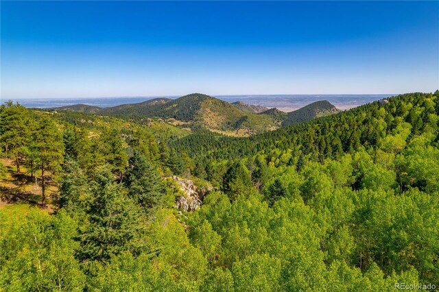 13007 Kuehster Rd, Littleton, CO 80127 - photo 13