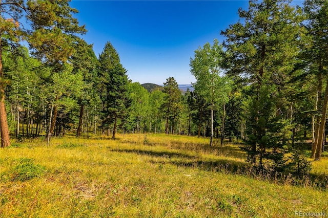 13007 Kuehster Rd, Littleton, CO 80127 - photo 15