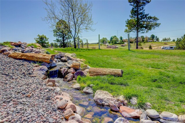 11251 Forest Hills Dr, Parker, CO 80138 - photo 30