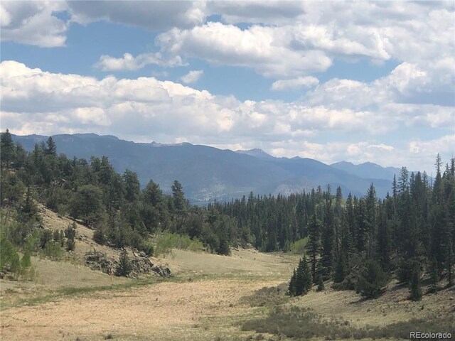 1135 Swiggler Rd, Jefferson, CO 80456
