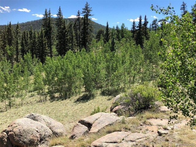 1135 Swiggler Rd, Jefferson, CO 80456