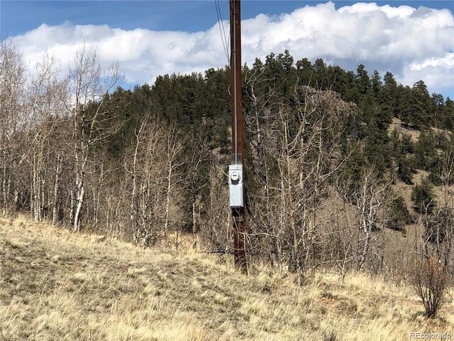1135 Swiggler Rd, Jefferson, CO 80456