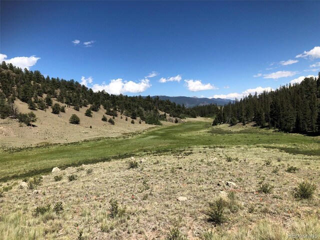1135 Swiggler Rd, Jefferson, CO 80456
