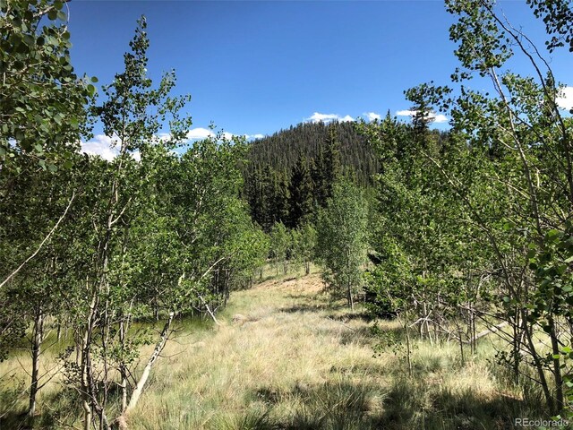 1135 Swiggler Rd, Jefferson, CO 80456