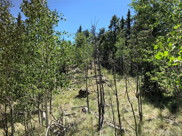 1135 Swiggler Rd, Jefferson, CO 80456