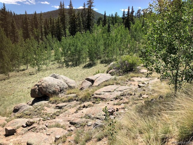 1135 Swiggler Rd, Jefferson, CO 80456