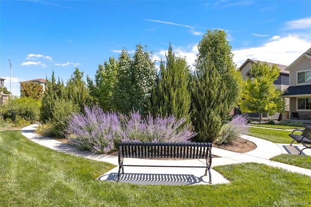 12743 Ulster St, Thornton, CO 80602 - view of community with a lawn