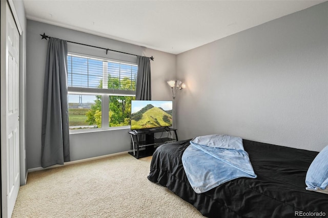 24285 E Wagon Trail Ave, Aurora, CO 80016 - photo 20