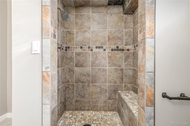 6273 S Prescott St, Littleton, CO 80120 - full bath featuring a tile shower and baseboards