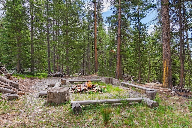 725 Zebulon St, Fairplay, CO 80440 - photo 4