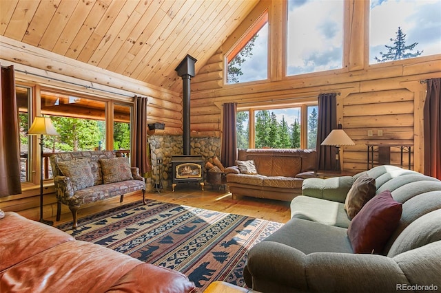 725 Zebulon St, Fairplay, CO 80440 - photo 6