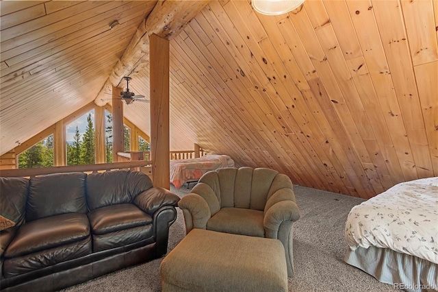 725 Zebulon St, Fairplay, CO 80440 - photo 26
