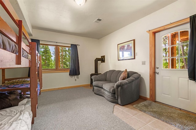 725 Zebulon St, Fairplay, CO 80440 - photo 29