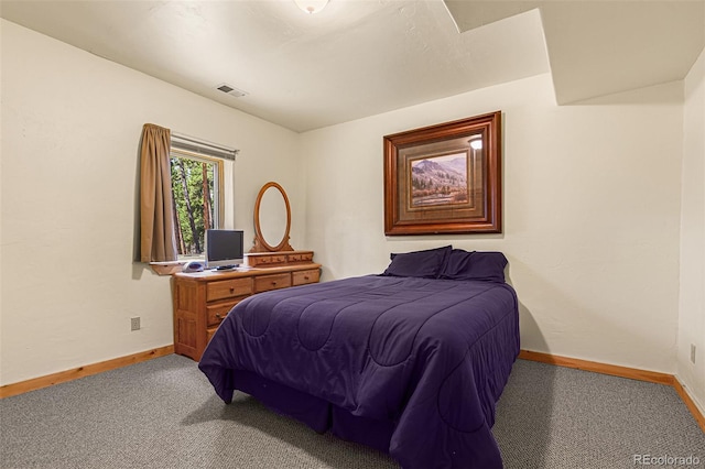 725 Zebulon St, Fairplay, CO 80440 - photo 32