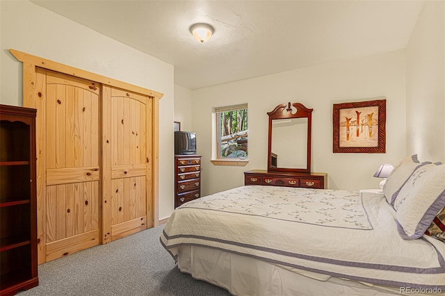 725 Zebulon St, Fairplay, CO 80440 - photo 34