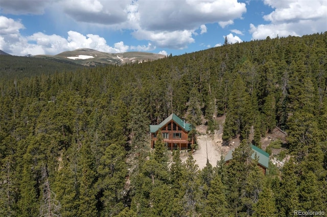 725 Zebulon St, Fairplay, CO 80440 - photo 40