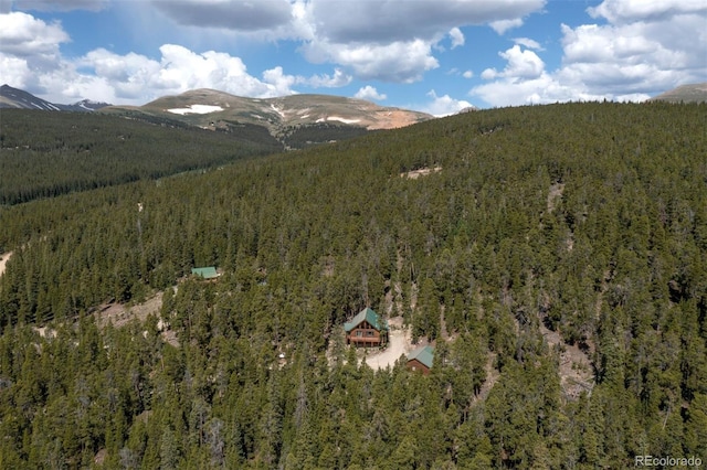 725 Zebulon St, Fairplay, CO 80440 - photo 41