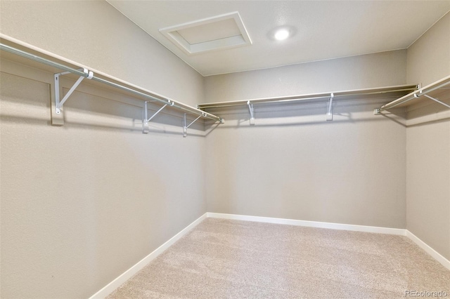 walk in closet with carpet