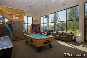 recreation room featuring carpet floors and pool table