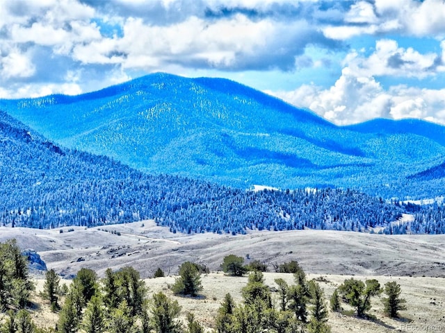 114 Eagle Rock Rd, Jefferson, CO 80456