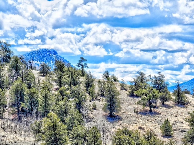 114 Eagle Rock Rd, Jefferson, CO 80456