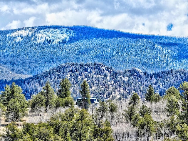 114 Eagle Rock Rd, Jefferson, CO 80456