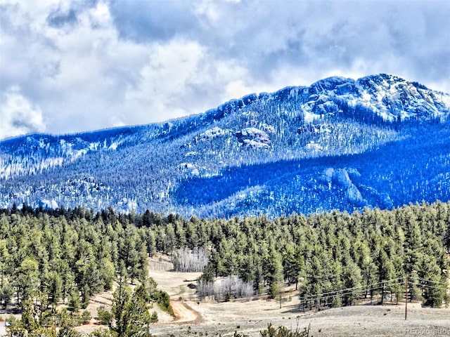 114 Eagle Rock Rd, Jefferson, CO 80456