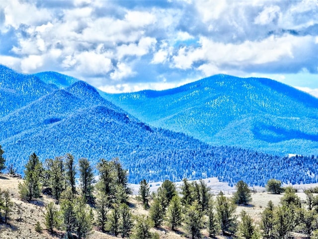 114 Eagle Rock Rd, Jefferson, CO 80456