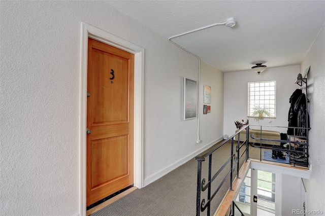1481 Ash St Unit 3, Denver, CO 80220 - photo 5