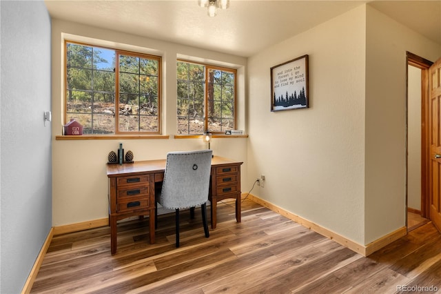 home office featuring hardwood / wood-style flooring