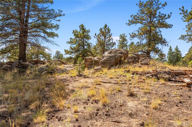 view of local wilderness