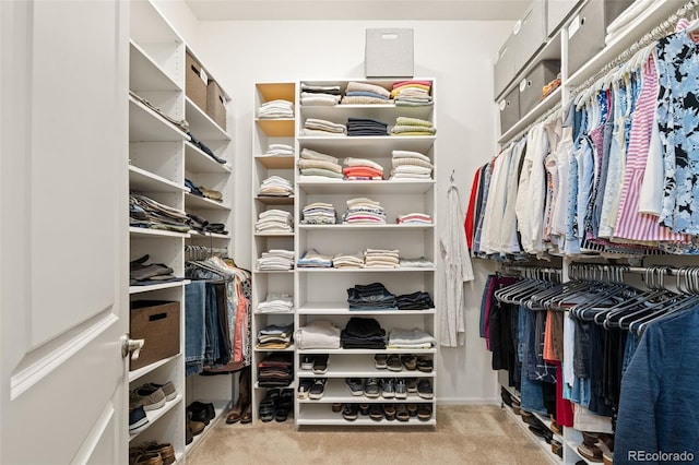 3418 New Haven Cir, Castle Rock, CO 80109 - spacious closet with carpet flooring