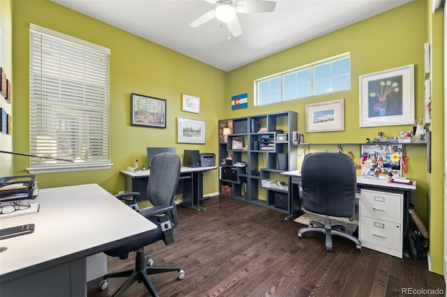 3418 New Haven Cir, Castle Rock, CO 80109 - office space featuring ceiling fan and wood finished floors
