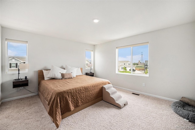 12405 E 101st Dr, Commerce City, CO 80022 - photo 10