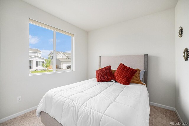 12405 E 101st Dr, Commerce City, CO 80022 - photo 17