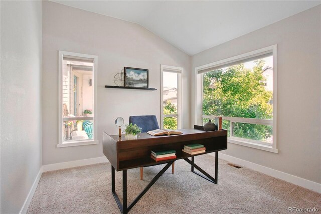 6735 Avrum Dr, Denver, CO 80221 - photo 10