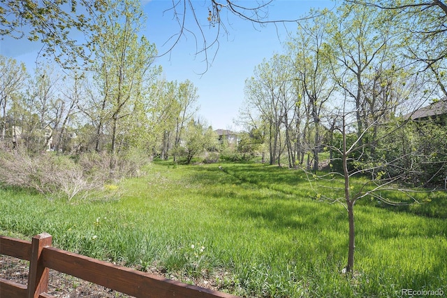 3002 S Oak Way, Lakewood, CO 80227 - view of yard