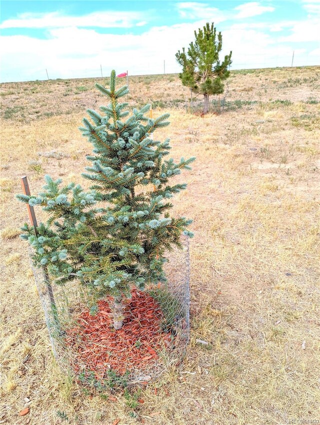 10874 Shadow Pines Rd, Parker, CO 80138