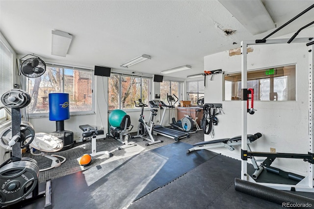 1165 N Pennsylvania St Unit G2, Denver, CO 80203 - photo 35
