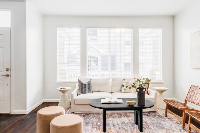 living room featuring dark hardwood / wood-style floors