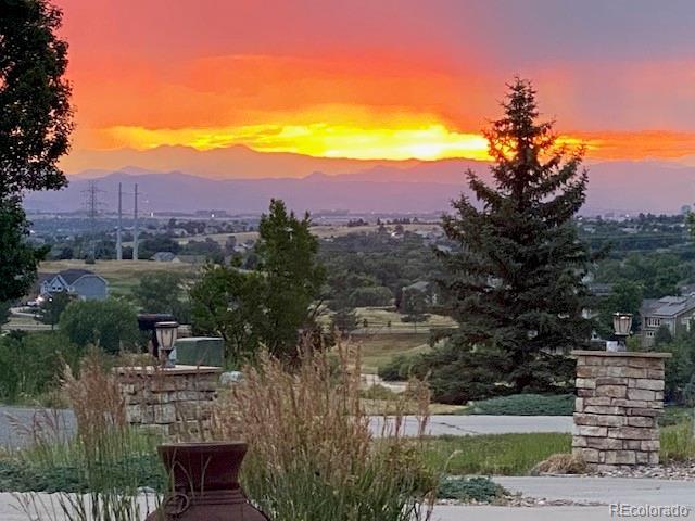 9928 Bluestar Dr, Parker, CO 80138 - photo 4