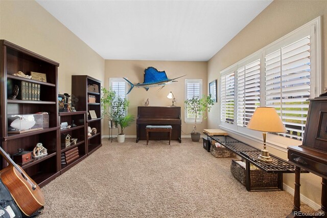 9928 Bluestar Dr, Parker, CO 80138 - photo 12