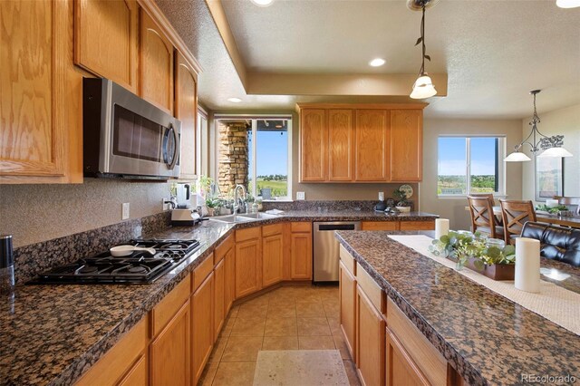 9928 Bluestar Dr, Parker, CO 80138 - photo 15