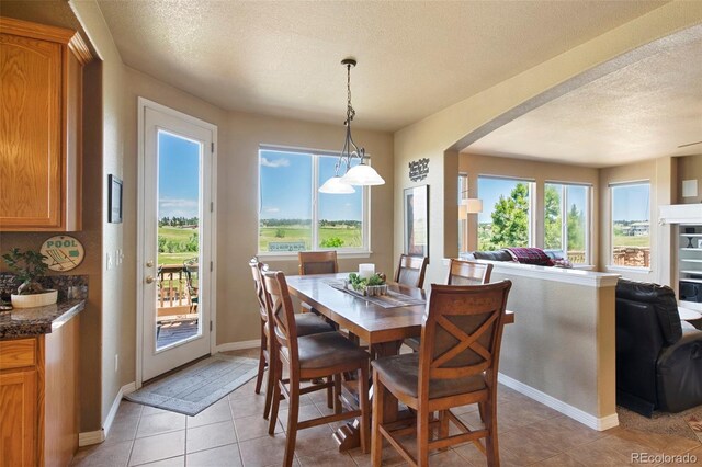 9928 Bluestar Dr, Parker, CO 80138 - photo 18