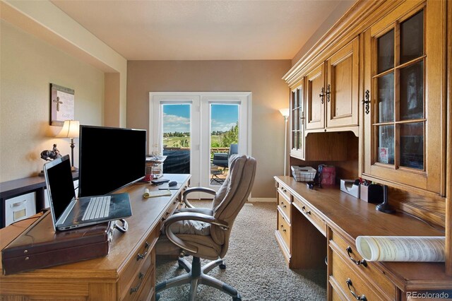 9928 Bluestar Dr, Parker, CO 80138 - photo 22