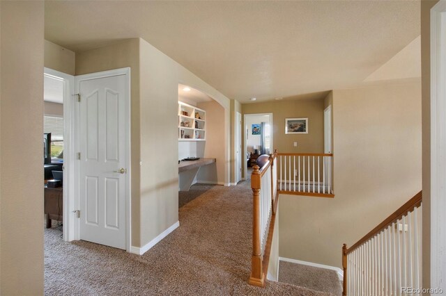 9928 Bluestar Dr, Parker, CO 80138 - photo 24