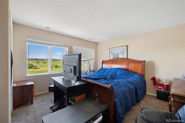 9928 Bluestar Dr, Parker, CO 80138 - photo 31