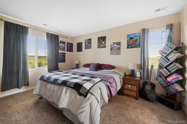 9928 Bluestar Dr, Parker, CO 80138 - photo 34