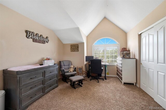 9928 Bluestar Dr, Parker, CO 80138 - photo 37