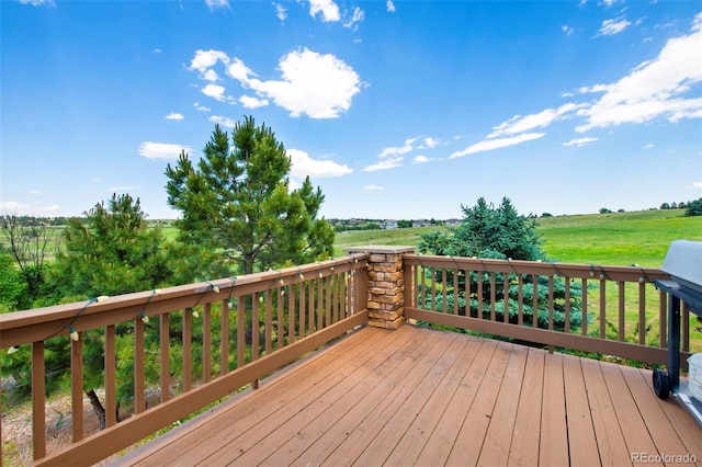 9928 Bluestar Dr, Parker, CO 80138 - photo 41